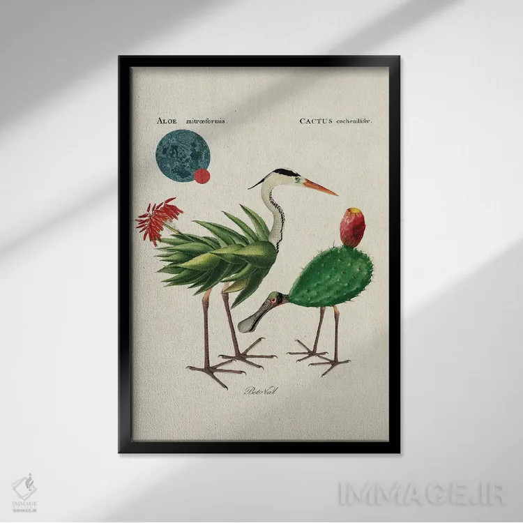 تابلو پرندگان آلوئهورا اثر بتو وال - نمای قابدار مشکی