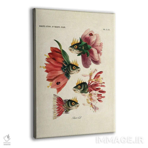 تابلو ماهیهای صورتی اثر بتو وال - نمای پرسپکتیو محصول