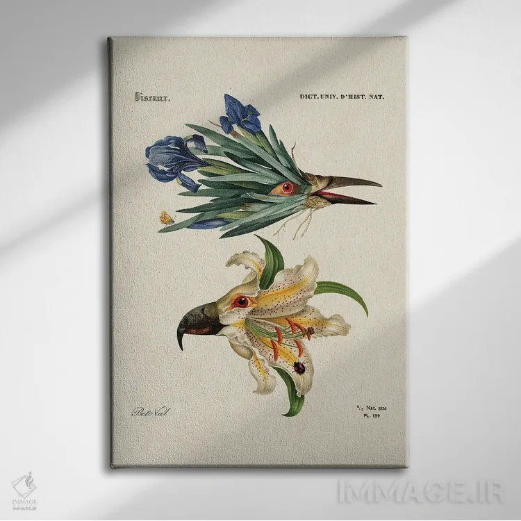 تابلو گل پرندهای اثر بتو وال - نمای روبهرو روی دیوار