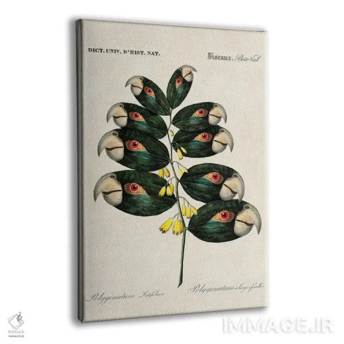 تابلو شاخه طوطی اثر بتو وال - نمای پرسپکتیو محصول