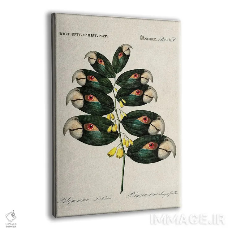 تابلو شاخه طوطی اثر بتو وال - نمای پرسپکتیو محصول