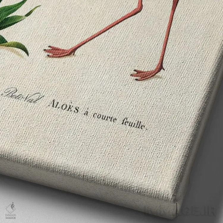 تابلو فلامینگو آلوئهورا اثر بتو وال - نمای نزدیک بافت بوم