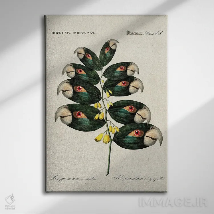 تابلو شاخه طوطی اثر بتو وال - نمای روبهرو روی دیوار