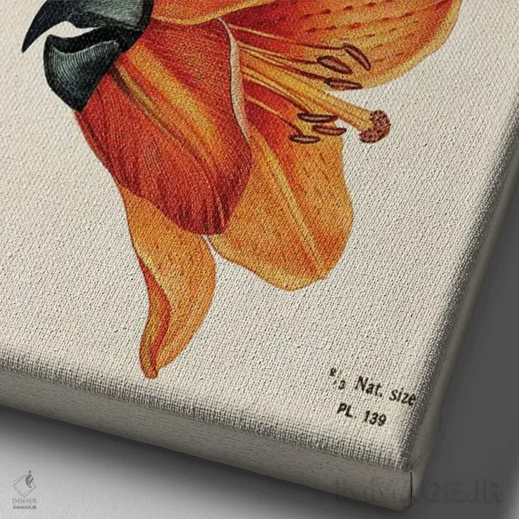 تابلو پرندگان گلی اثر بتو وال - نمای نزدیک بافت بوم