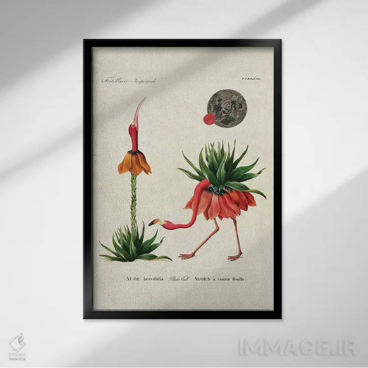 تابلو فلامینگو آلوئهورا اثر بتو وال - نمای قابدار مشکی