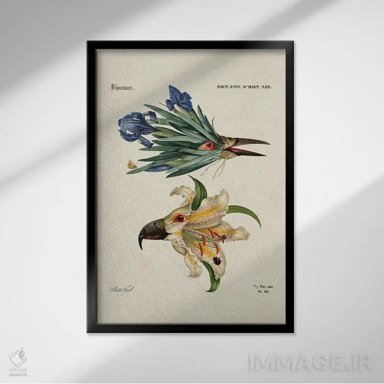 تابلو گل پرندهای اثر بتو وال - نمای قابدار مشکی