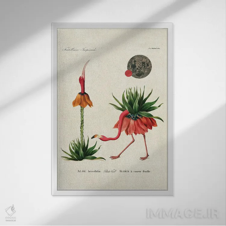 تابلو فلامینگو آلوئهورا اثر بتو وال - نمای قابدار سفید