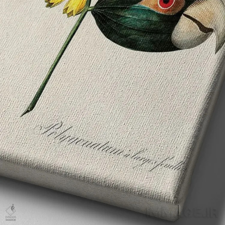 تابلو شاخه طوطی اثر بتو وال - نمای نزدیک بافت بوم