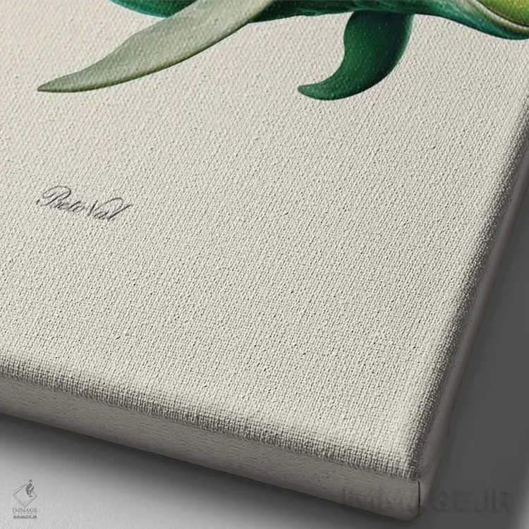 تابلو قورباغههای دریایی اثر بتو وال - نمای نزدیک بافت بوم