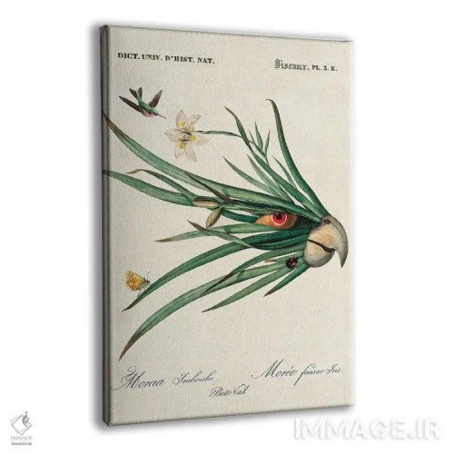 تابلو طوطی برگ اثر بتو وال - نمای پرسپکتیو محصول