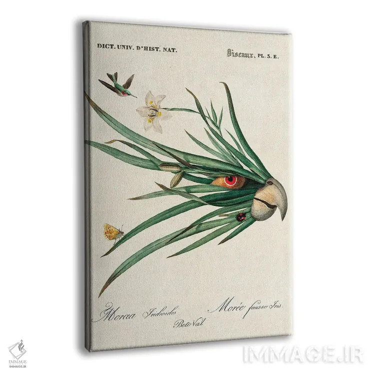 تابلو طوطی برگ اثر بتو وال - نمای پرسپکتیو محصول