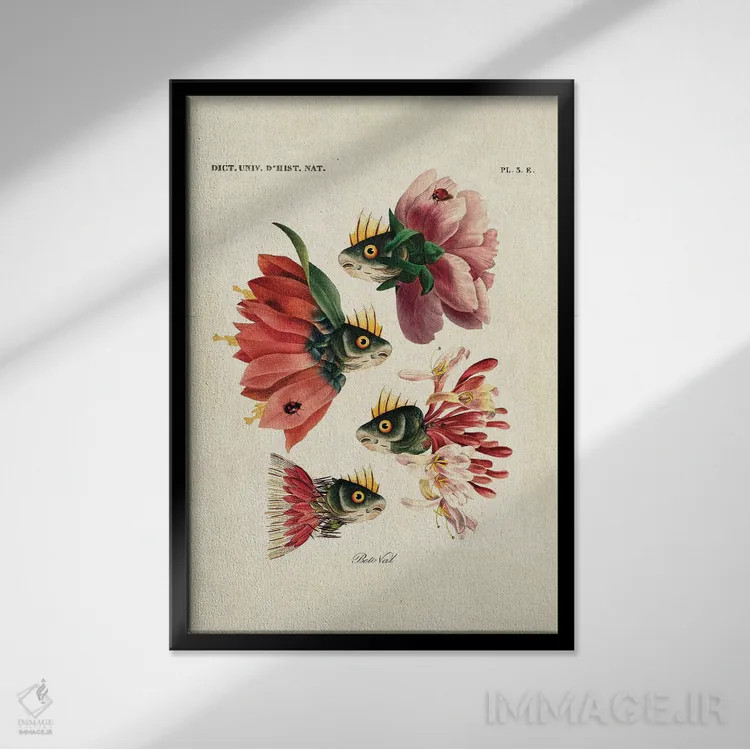 تابلو ماهیهای صورتی اثر بتو وال - نمای قابدار مشکی