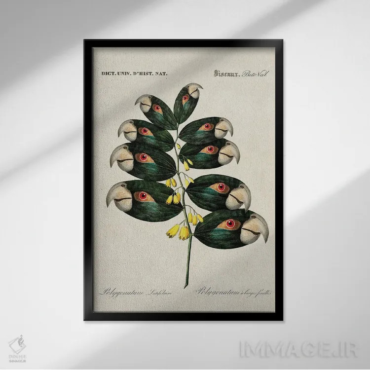 تابلو شاخه طوطی اثر بتو وال - نمای قابدار مشکی