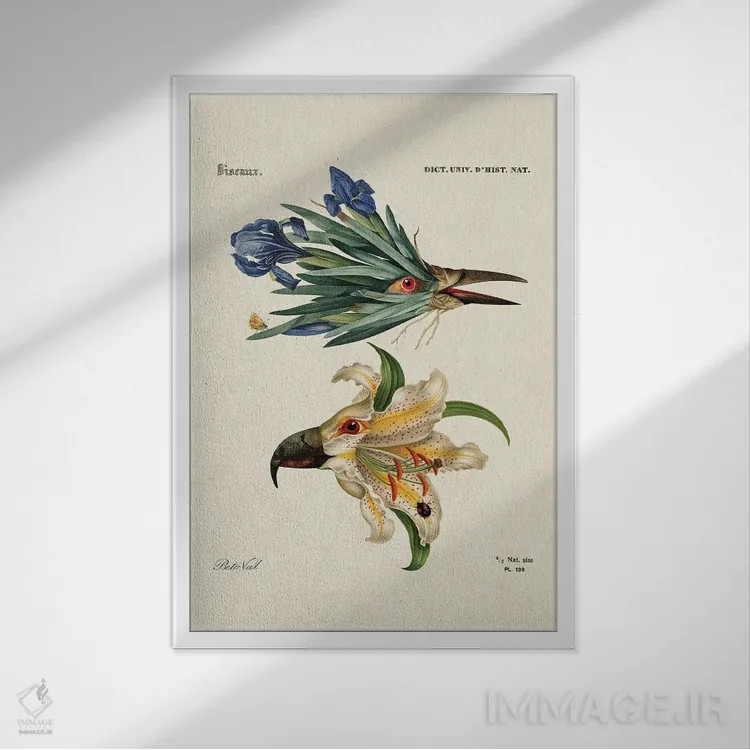 تابلو گل پرندهای اثر بتو وال - نمای قابدار سفید