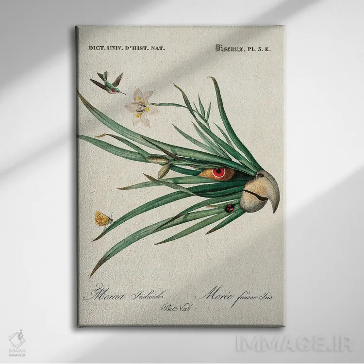 تابلو طوطی برگ اثر بتو وال - نمای روبهرو روی دیوار