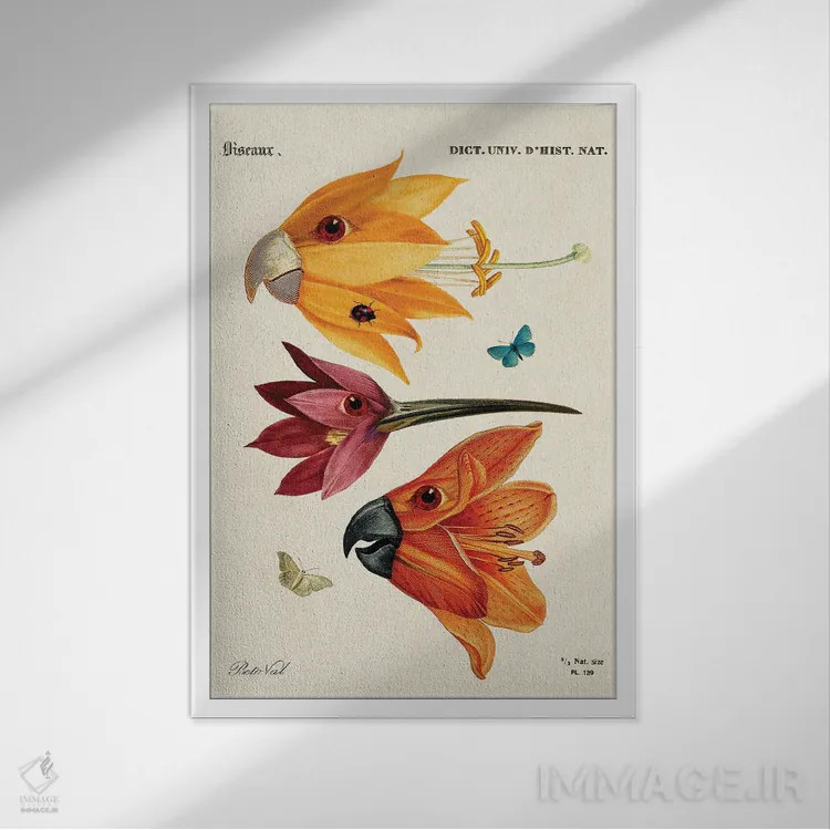 تابلو پرندگان گلی اثر بتو وال - نمای قابدار سفید