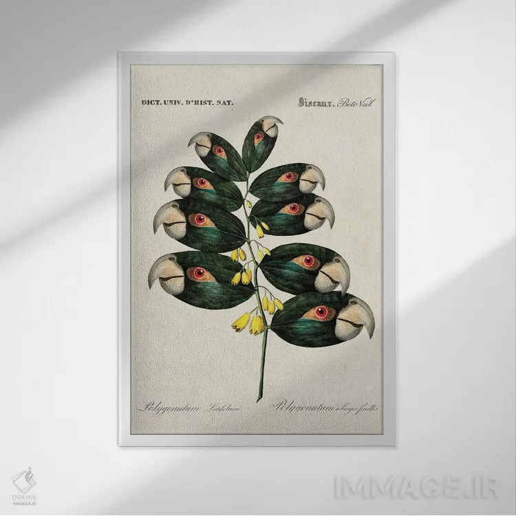 تابلو شاخه طوطی اثر بتو وال - نمای قابدار سفید