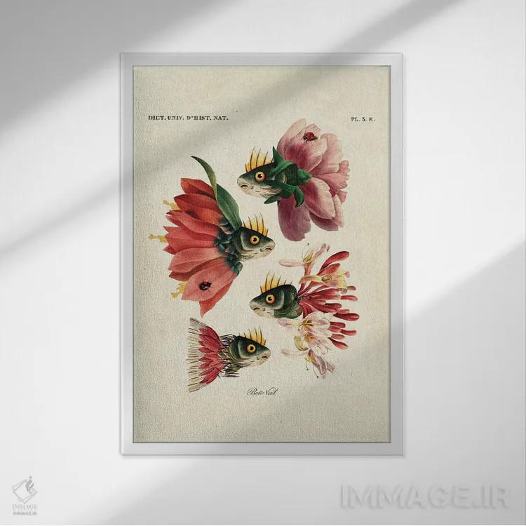 تابلو ماهیهای صورتی اثر بتو وال - نمای قابدار سفید