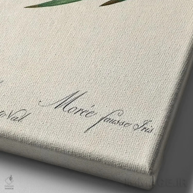 تابلو طوطی برگ اثر بتو وال - نمای نزدیک بافت بوم