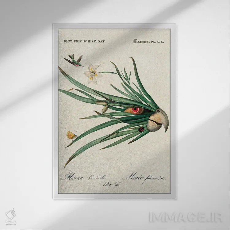 تابلو طوطی برگ اثر بتو وال - نمای قابدار سفید