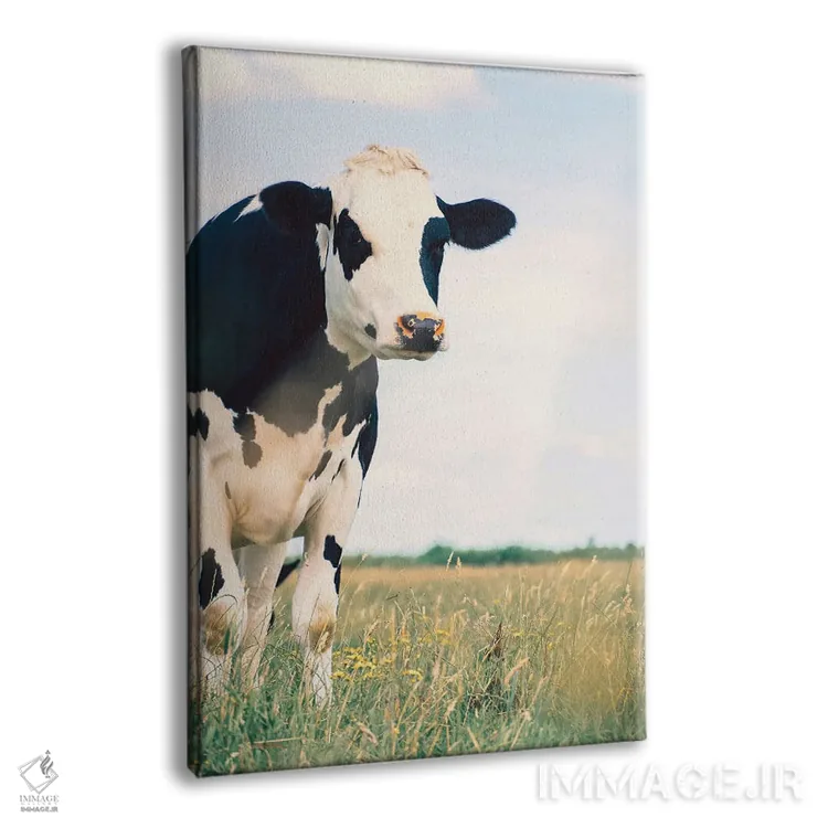 تابلو کنتون اثر کریستا برادوی - نمای پرسپکتیو محصول