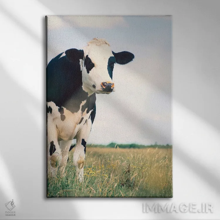 تابلو کنتون اثر کریستا برادوی - نمای روبهرو روی دیوار