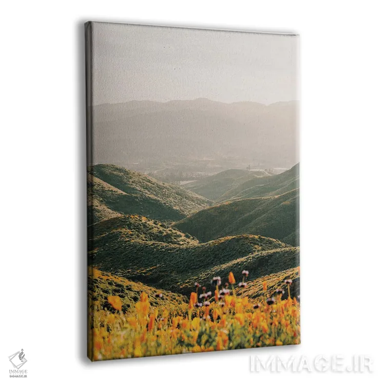 تابلو پالومار اثر کریستا برادوی - نمای پرسپکتیو محصول