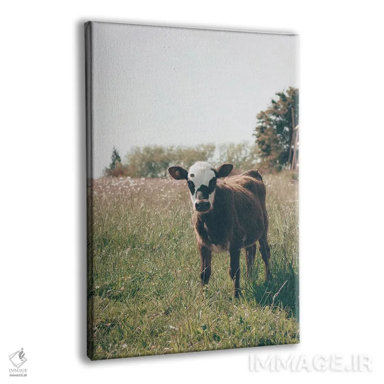 تابلو لیما (پایتخت پرو) اثر کریستا برادوی - نمای پرسپکتیو محصول