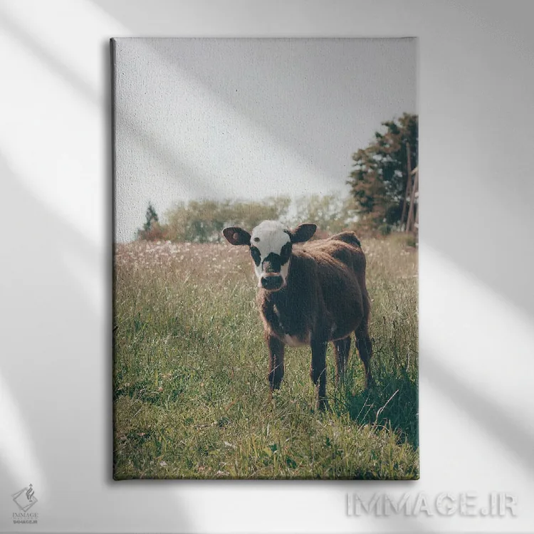 تابلو لیما (پایتخت پرو) اثر کریستا برادوی - نمای روبهرو روی دیوار