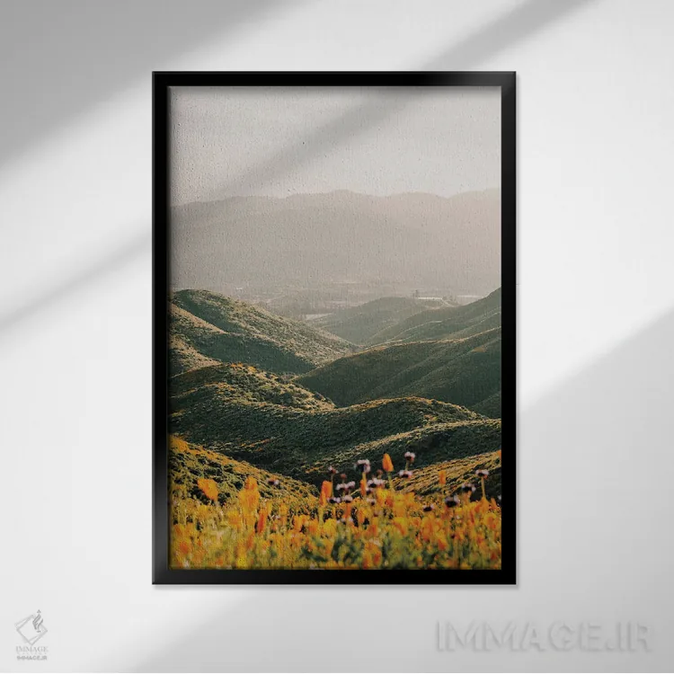 تابلو پالومار اثر کریستا برادوی - نمای قابدار مشکی