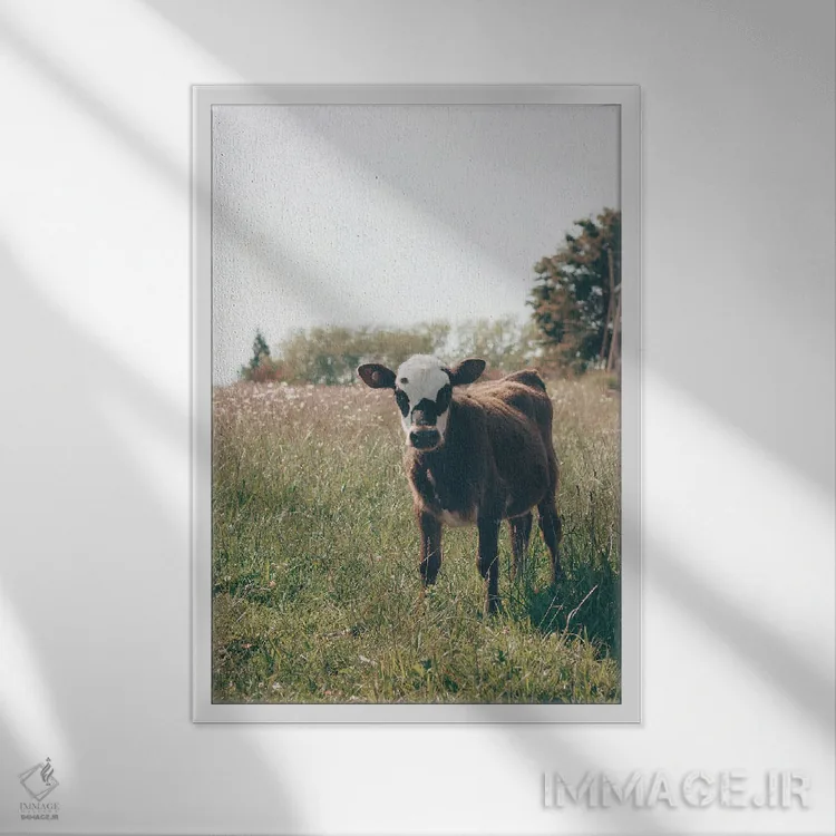 تابلو لیما (پایتخت پرو) اثر کریستا برادوی - نمای قابدار سفید