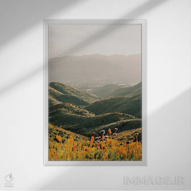 تابلو پالومار اثر کریستا برادوی - نمای قابدار سفید