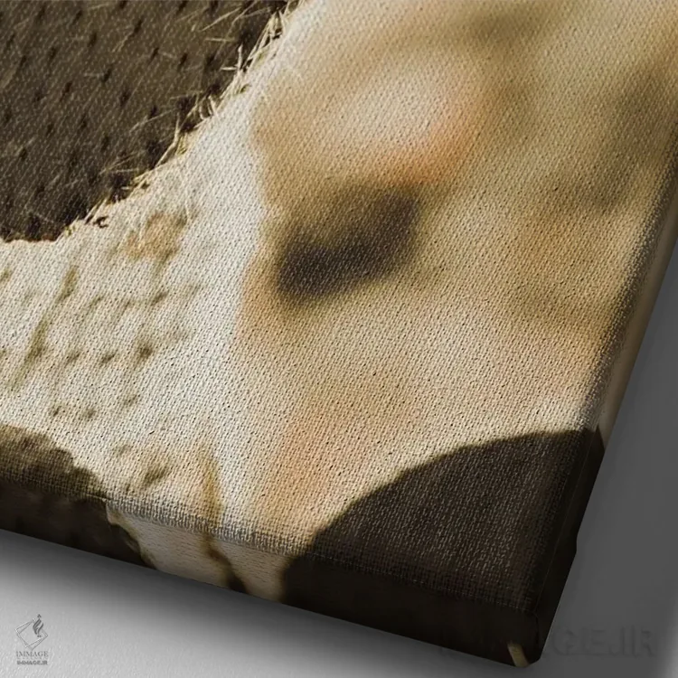 تابلو هاوانا (کوبا) اثر کریستا برادوی - نمای نزدیک بافت بوم