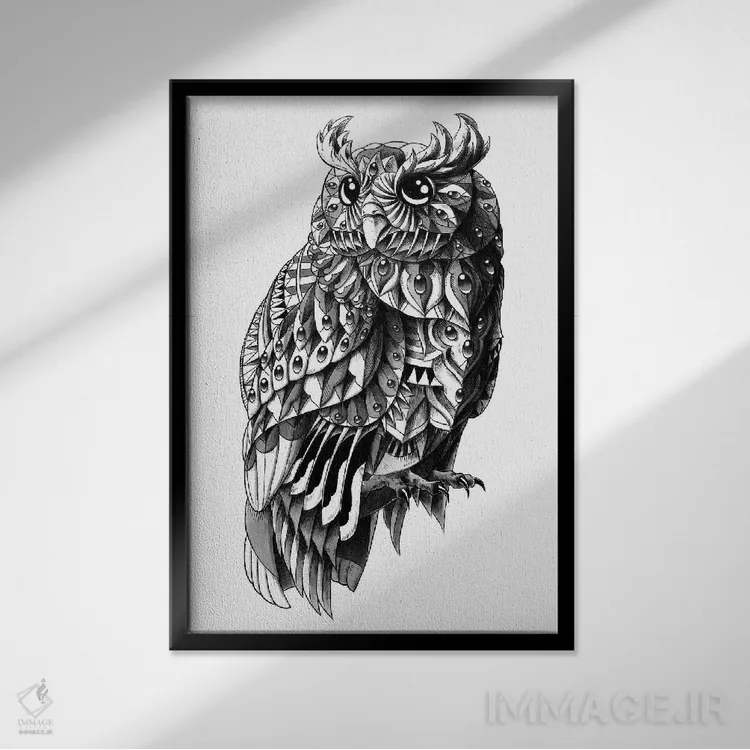 تابلو جغد تزیینی اثر بیوورکز - نمای قابدار مشکی