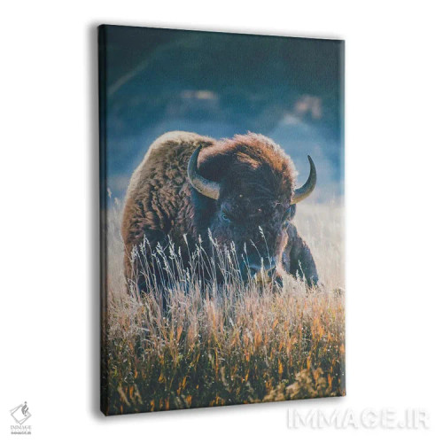 تابلو فصل آرام اثر آنی بیلی آرت (هنرمند) - نمای پرسپکتیو محصول