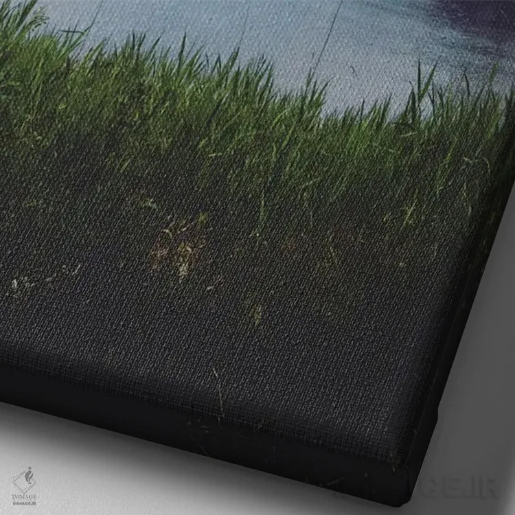 تابلو ساحل یخچالی اثر آنی بیلی آرت (هنرمند) - نمای نزدیک بافت بوم