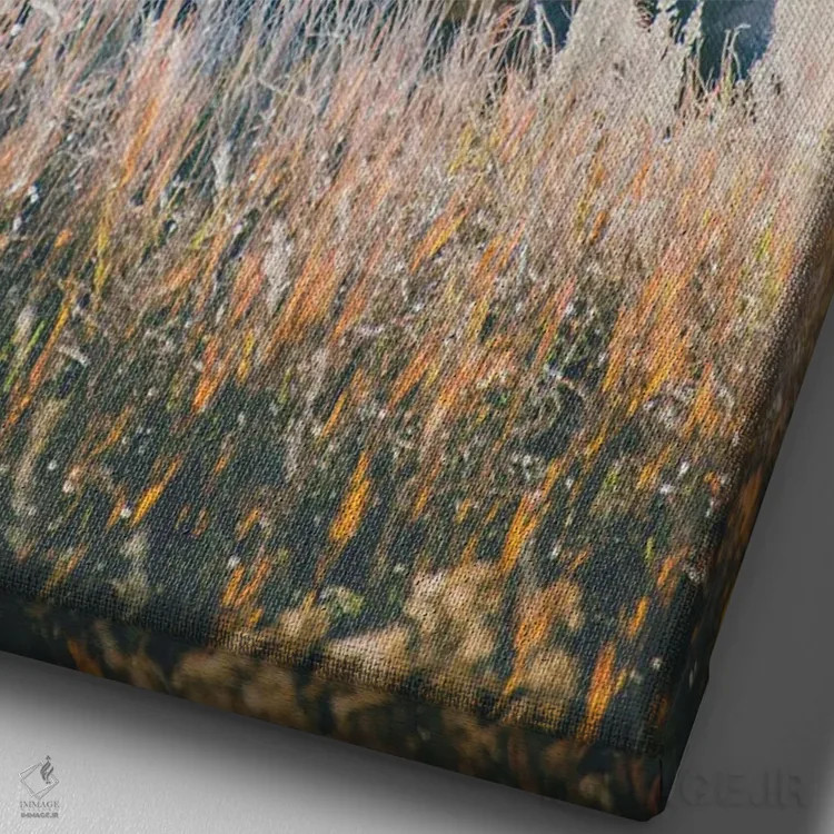 تابلو فصل آرام اثر آنی بیلی آرت (هنرمند) - نمای نزدیک بافت بوم