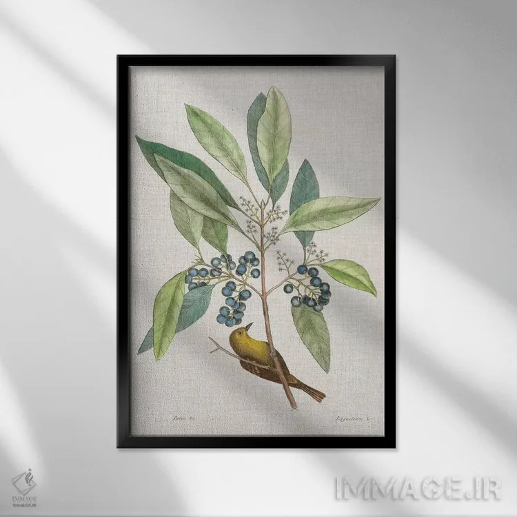 تابلو مطالعاتی در طبیعت IV اثر مارک کتسبی - نمای قابدار مشکی