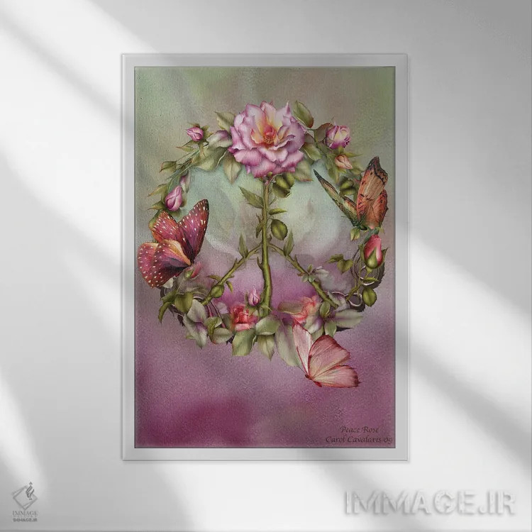 تابلو رز صلح اثر کارول کاوالاریس - نمای قابدار سفید