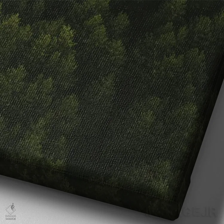 تابلو درختان کاج اثر آندریا کاروزو - نمای نزدیک بافت بوم