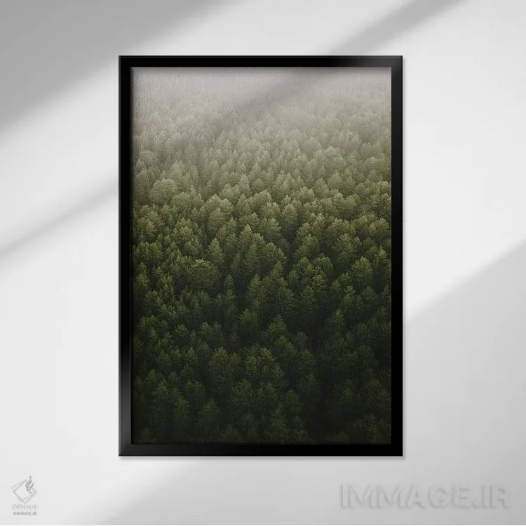 تابلو درختان کاج اثر آندریا کاروزو - نمای قابدار مشکی