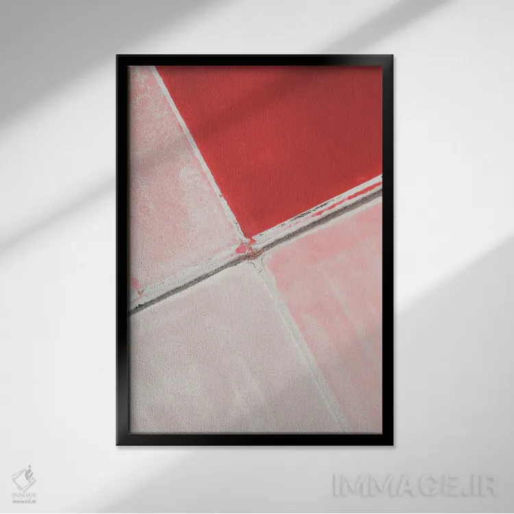 تابلو نمک صورتی اثر آندریا کاروزو - نمای قابدار مشکی