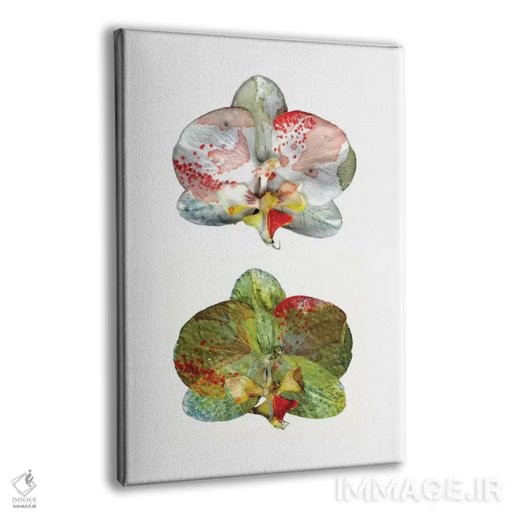 تابلو تنهایی (قسمت دوم) اثر کایِنا بلانکا - نمای پرسپکتیو محصول