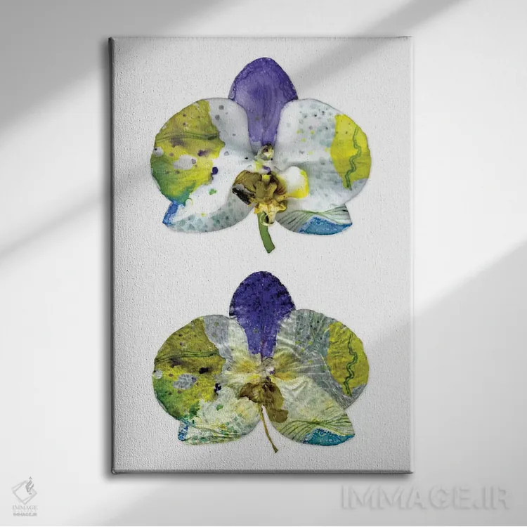 تابلو تنهایی (قسمت اول) اثر کایِنا بلانکا - نمای روبهرو روی دیوار