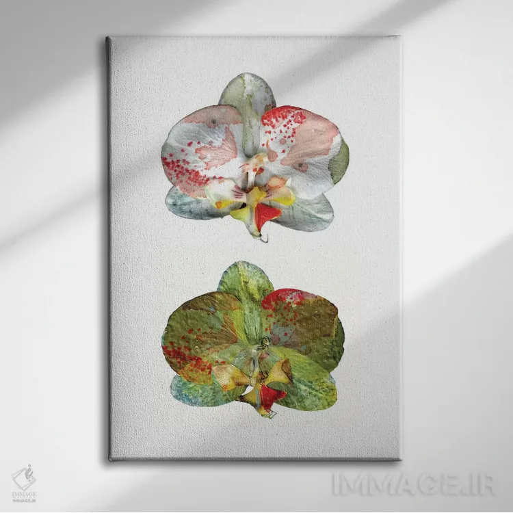 تابلو تنهایی (قسمت دوم) اثر کایِنا بلانکا - نمای روبهرو روی دیوار