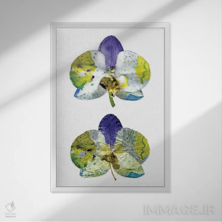 تابلو تنهایی (قسمت اول) اثر کایِنا بلانکا - نمای قابدار سفید