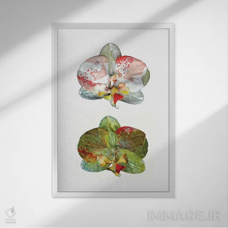 تابلو تنهایی (قسمت دوم) اثر کایِنا بلانکا - نمای قابدار سفید