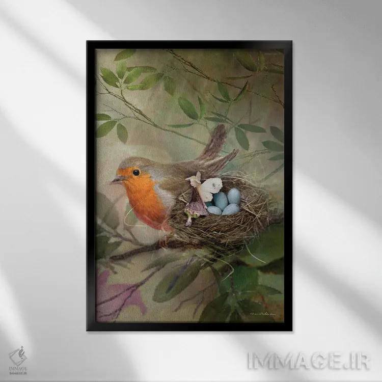 تابلو دوست من، رابین اثر شارلوت بیرد - نمای قابدار مشکی