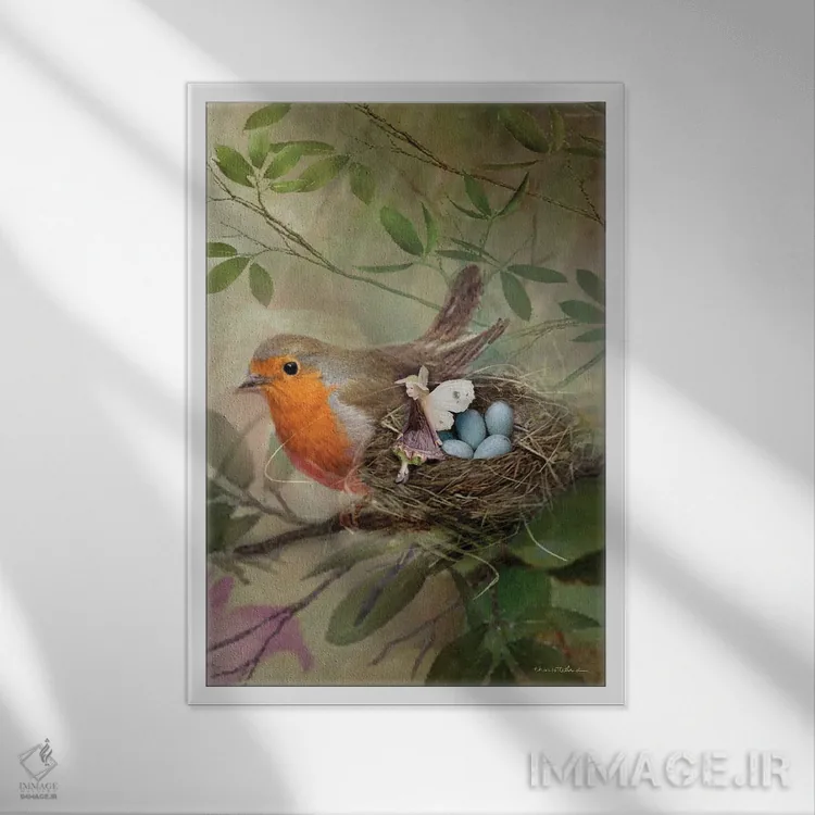 تابلو دوست من، رابین اثر شارلوت بیرد - نمای قابدار سفید