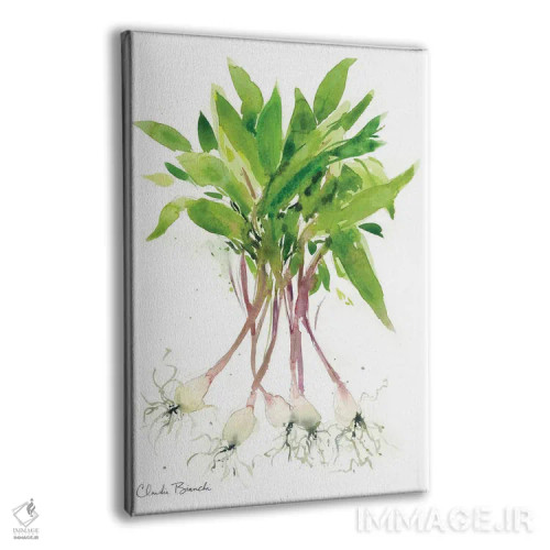 تابلو رامپها (پیازچه وحشی) اثر کلودیا بیانکی - نمای پرسپکتیو محصول